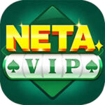 netavip_game_quick_login